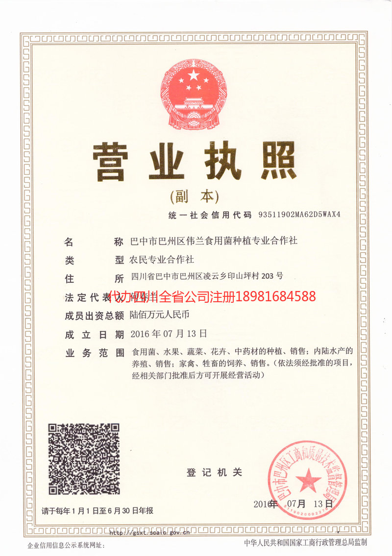 安丘安丘伟兰食用菌种植专业合作社